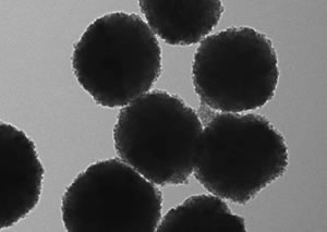 gold nanorods